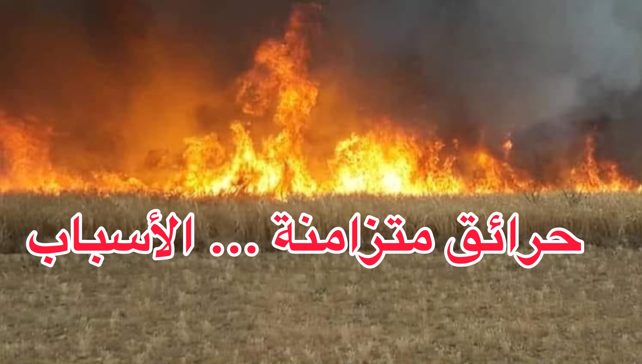 مصدر من الحماية المدنية يكشف عن أسباب الحريقين المتزامنين ببوسالم 1 F28DF053 A3CA 4FE3 80C5 3E92BD22038F