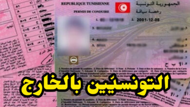 InShot 20250430 221549477