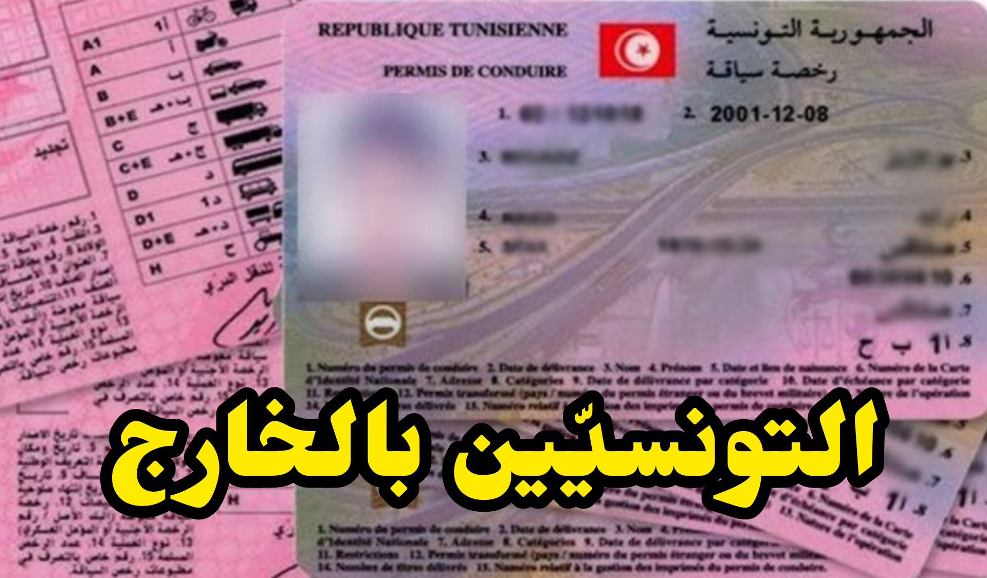نحو تسهيل استبدال رخص السياقة للتونسيين بالخارج ... التفاصيل 1 InShot 20250430 221549477