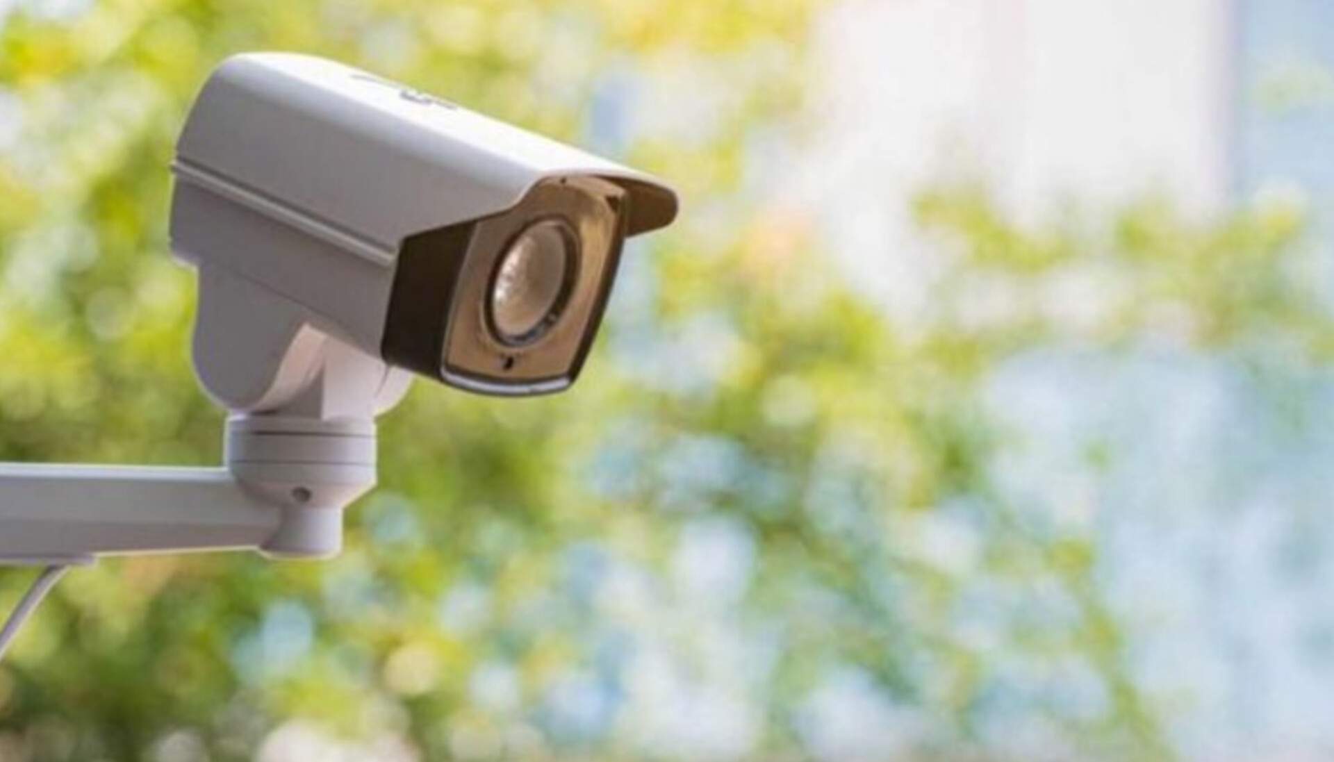 قضية المحامية منجية المناعي: بطاقات إيداع بالسجن وتحقيقات تكشف معطيات صادمة 1 InShot 20250502 223436789