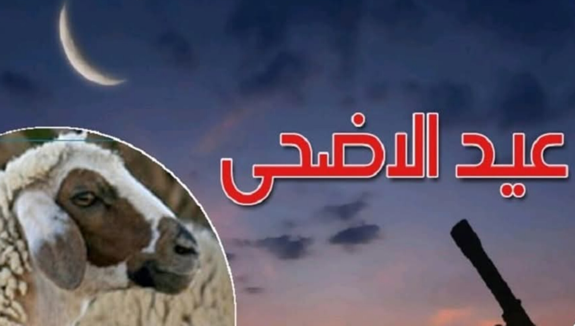 فلكيا: تحديد موعد حلول عيد الأضحى في تونس 1 InShot 20250506 124704342