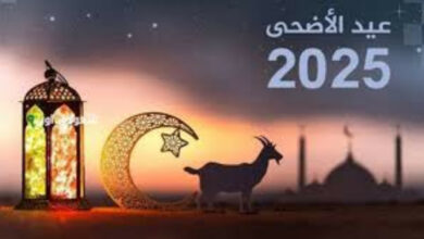 InShot 20250518 225540436