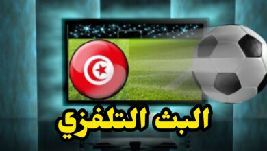 InShot 20250524 115626737