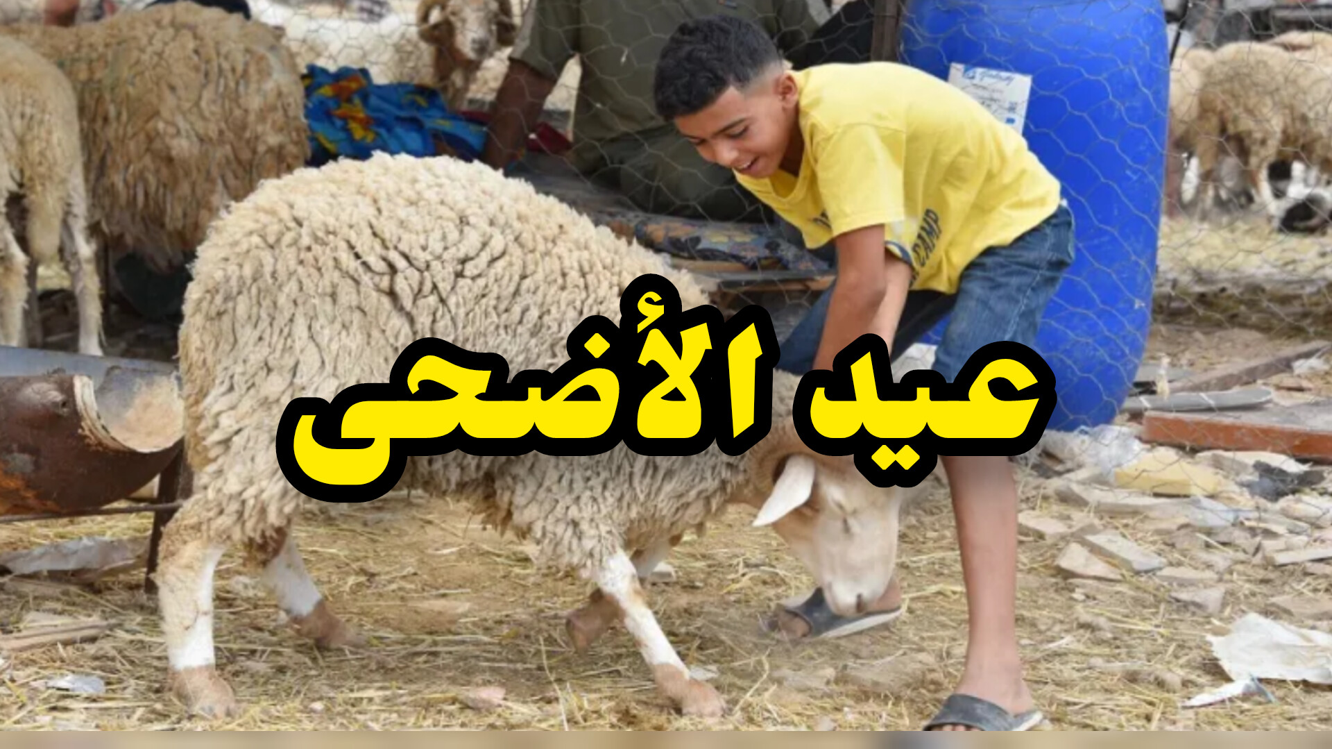 مركز الفلك الدولي يعلن موعد عيد الأضحى في معظم دول العالم الإسلامي 1 InShot 20250525 204440497