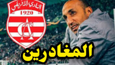 InShot 20250527 145531963