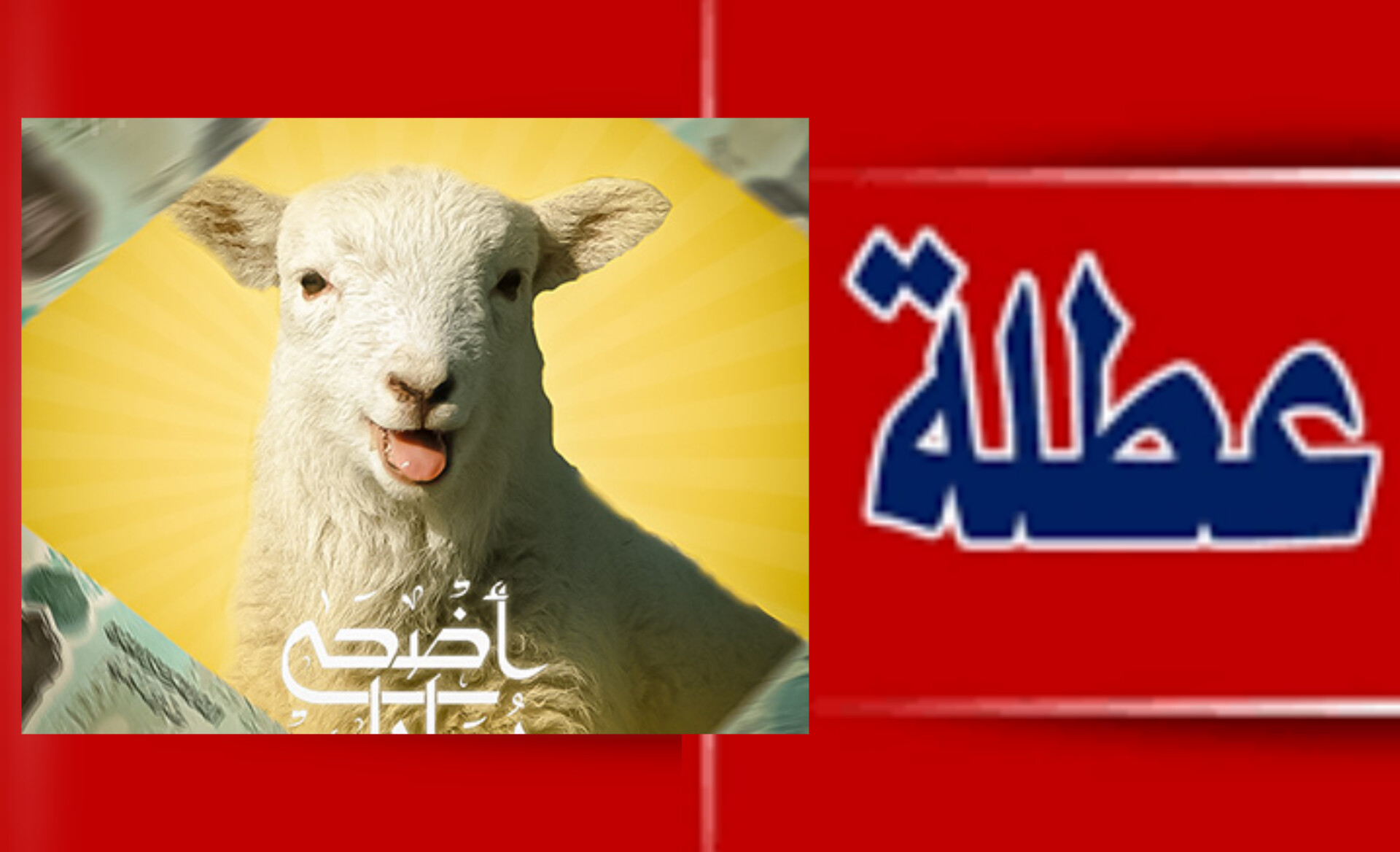 تونس: تفاصيل عطلة عيد الأضحى 1 InShot 20250528 215703542