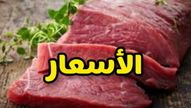 InShot 20250528 224559614