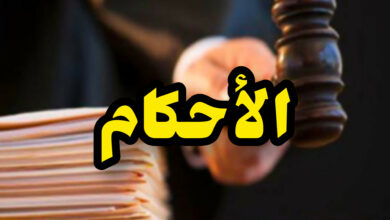 InShot 20250530 142210988