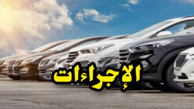 InShot 20250531 145426103